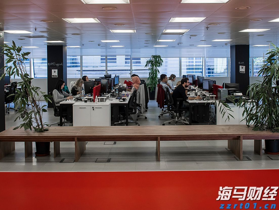 深中通办事项增至800项 新增事项重点聚焦公积金、人社、医保、市监等领域